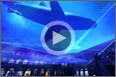 中国 泰州市ショッピングモール、イベント演出の動画